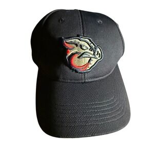 Minor League Baseball OC Sports Blue Boar Mascot Cap OSFM